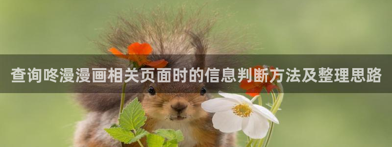 漫蛙漫画漫画网址大全:查询咚漫漫画相关页面时的信息判断方法及整理思路